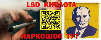 крисы Новодвинск