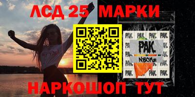 крисы Новодвинск