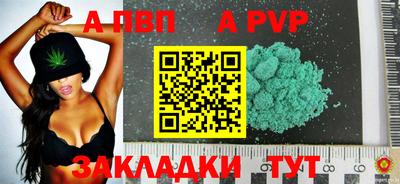 крисы Новодвинск