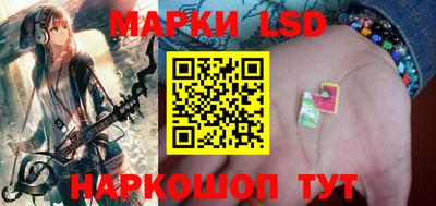 крисы Новодвинск