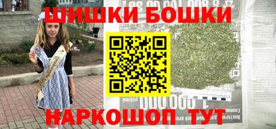 крисы Новодвинск