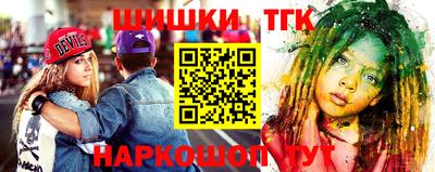 крисы Новодвинск