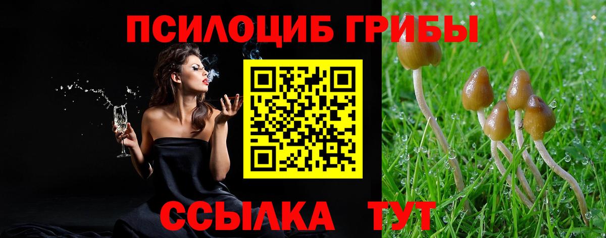 Псилоцибиновые грибы ЛСД  Вход с VPN  Галлюциногенные грибы ЛСД  Ступино 